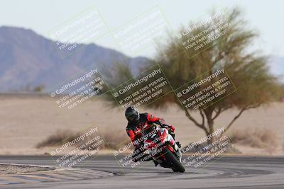 media/Nov-30-2025-TrackXperience (Sun) [[c0061d280f]]/2-Level 2/Session 6 Turn 4 Tree of Life/